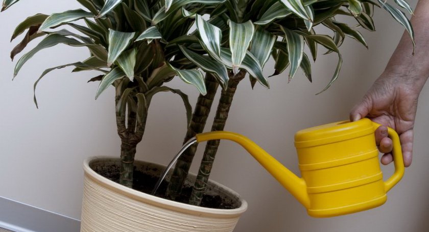 Полив через верх