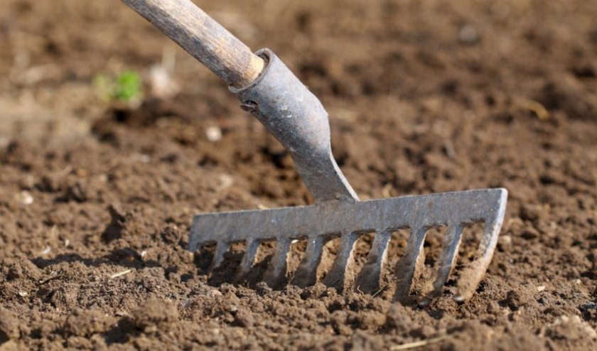 Рыхление почвы