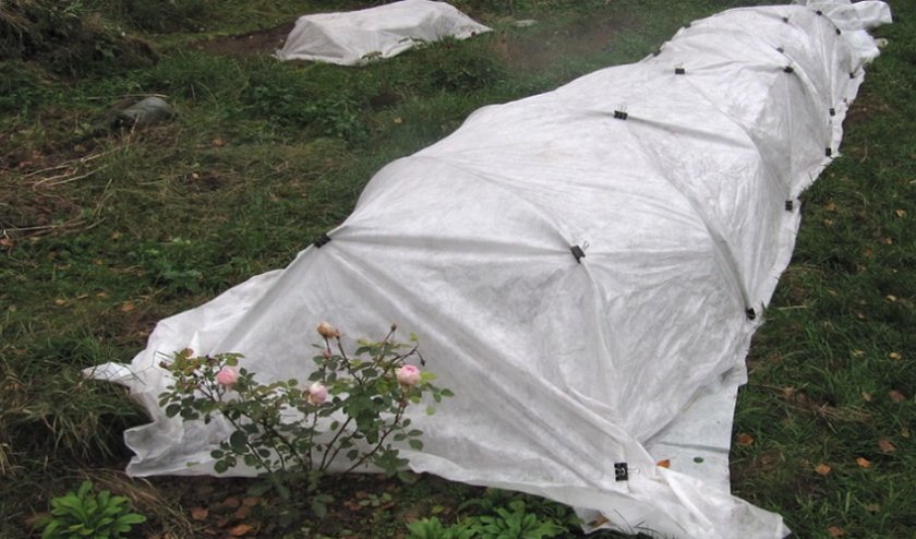 Укрытие на зиму