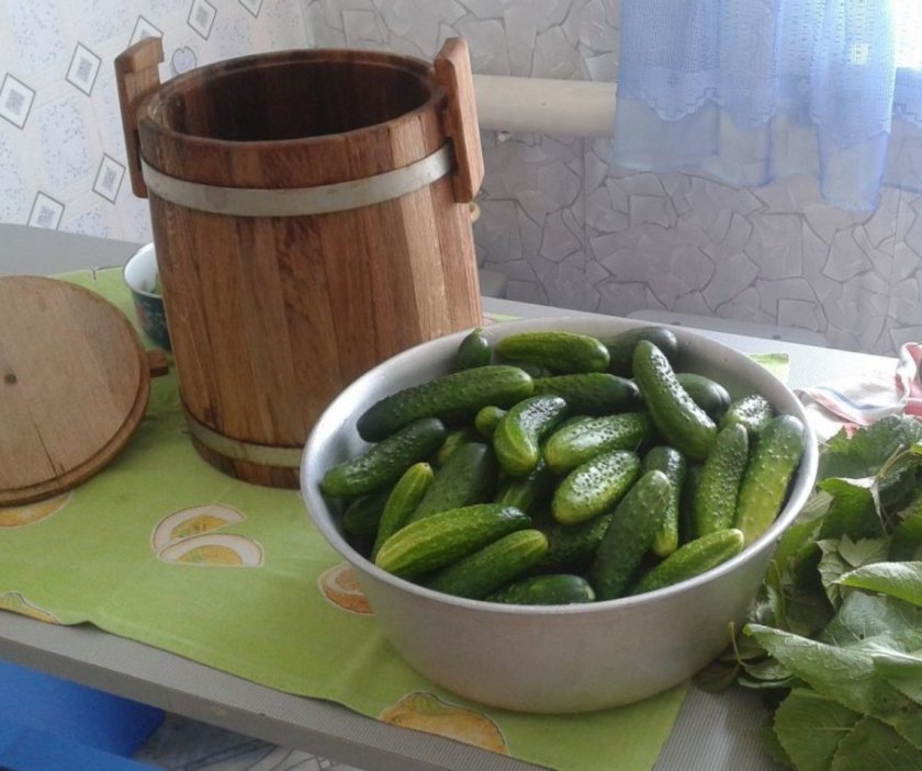 Хранение огурцов в бочке