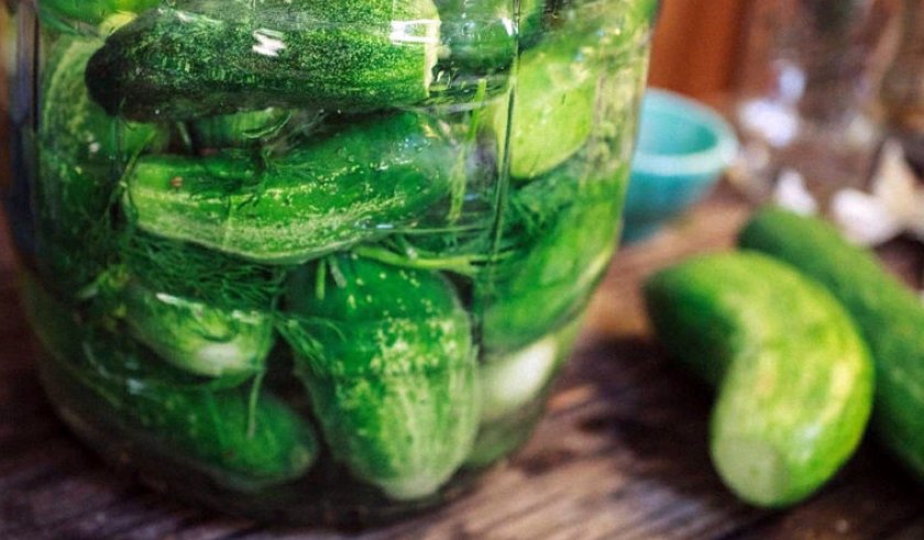 Засолка огурцов Засолка огурцов