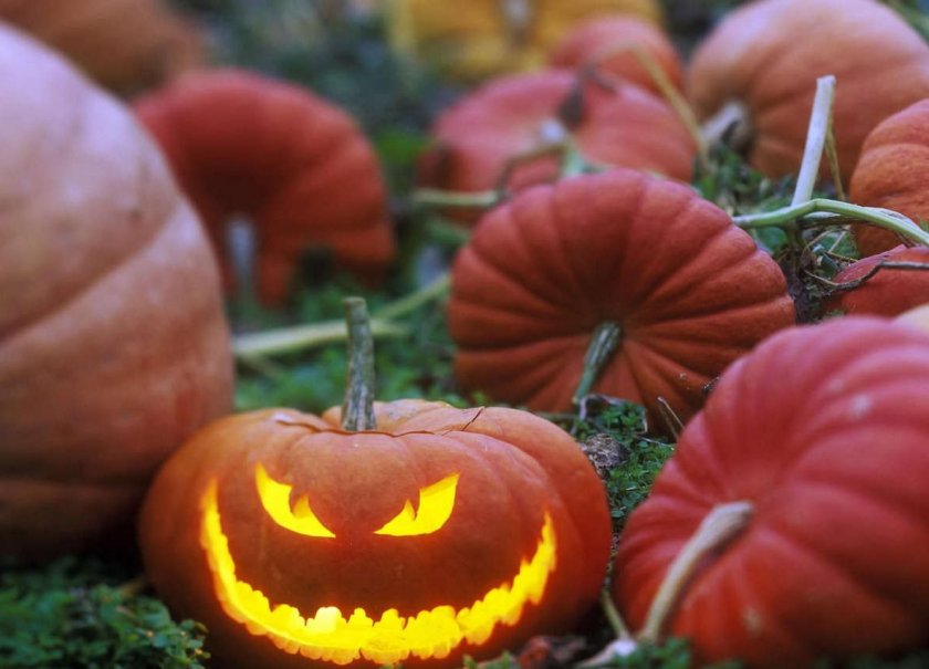 Тыква на Хэллоуин