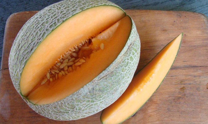 Дыня Канталупа Дыня Канталупа