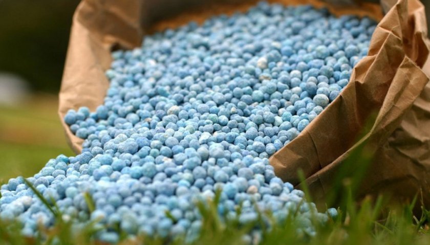 Азотные удобрения