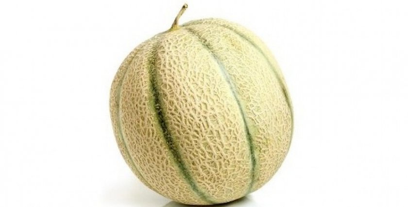 Дыня Канталупа