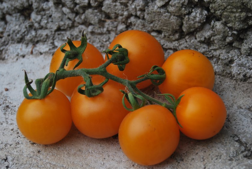 Мандаринка Мандаринка