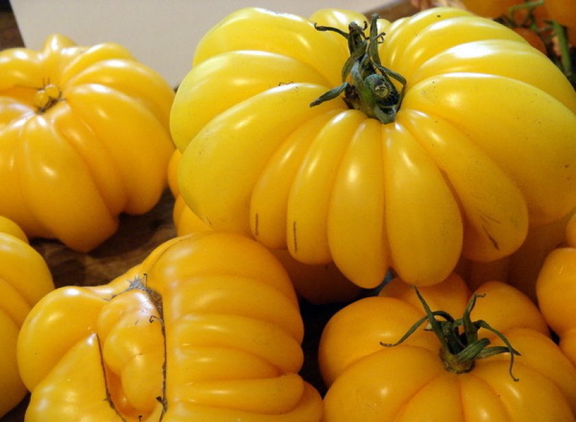 Весёлая соседка Весёлая соседка