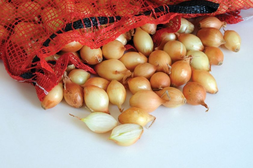 Как правильно хранить лук-севок в домашних условиях Как правильно хранить лук-севок в домашних условиях