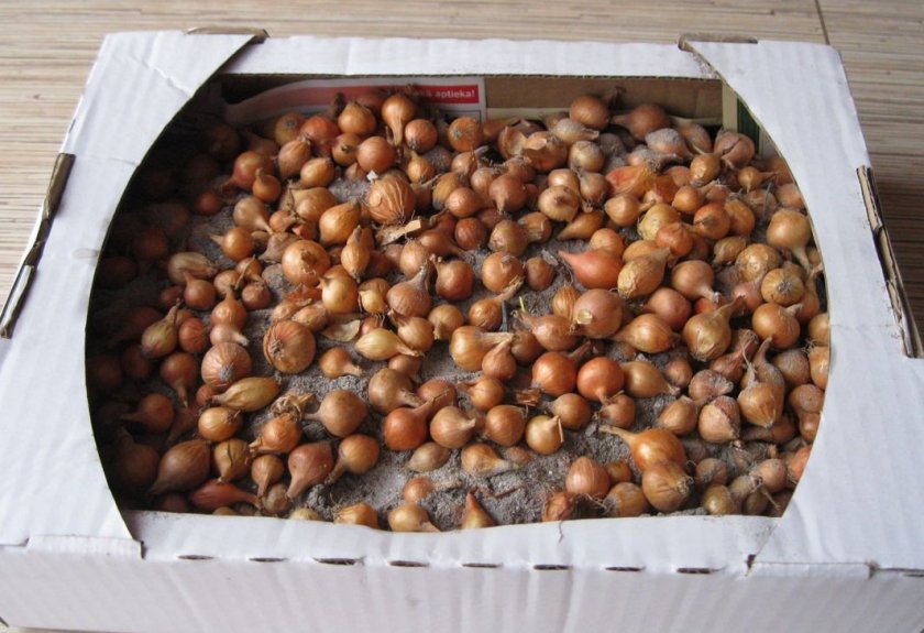 Способы хранения Способы хранения