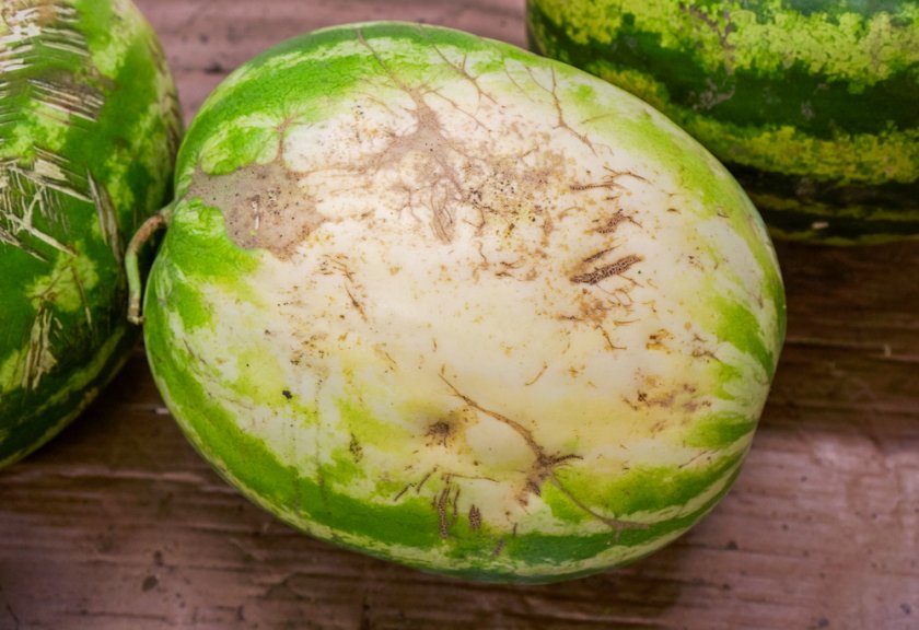 Неправильное хранение Неправильное хранение