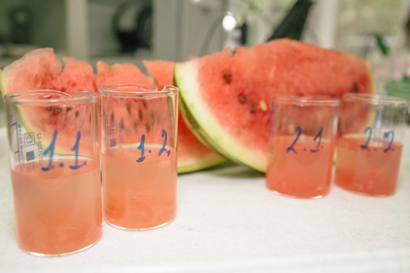 Проверка арбуза на нитраты Проверка арбуза на нитраты