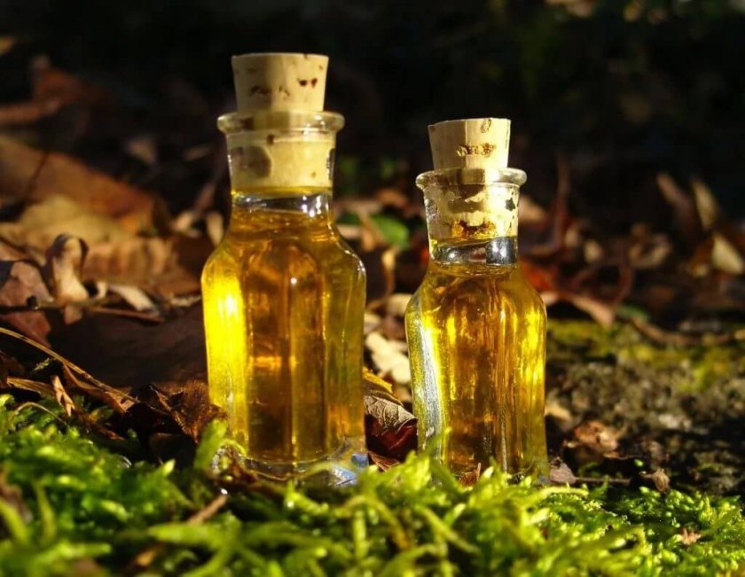 ΠΠ°ΡΠ»ΠΎ ΠΊΠΎΡΠΈΠ°Π½Π΄ΡΠ° ΠΠ°ΡΠ»ΠΎ ΠΊΠΎΡΠΈΠ°Π½Π΄ΡΠ°