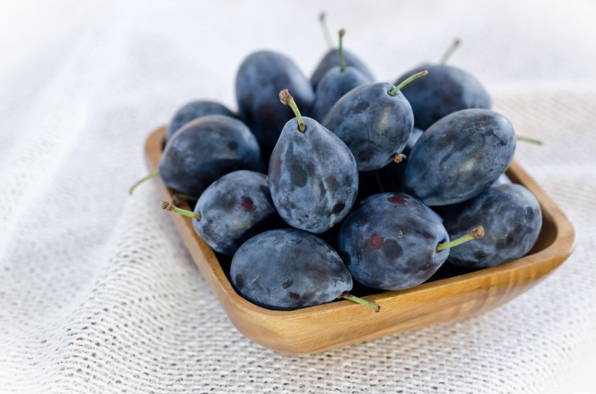 Сливы при грудном вскармливании