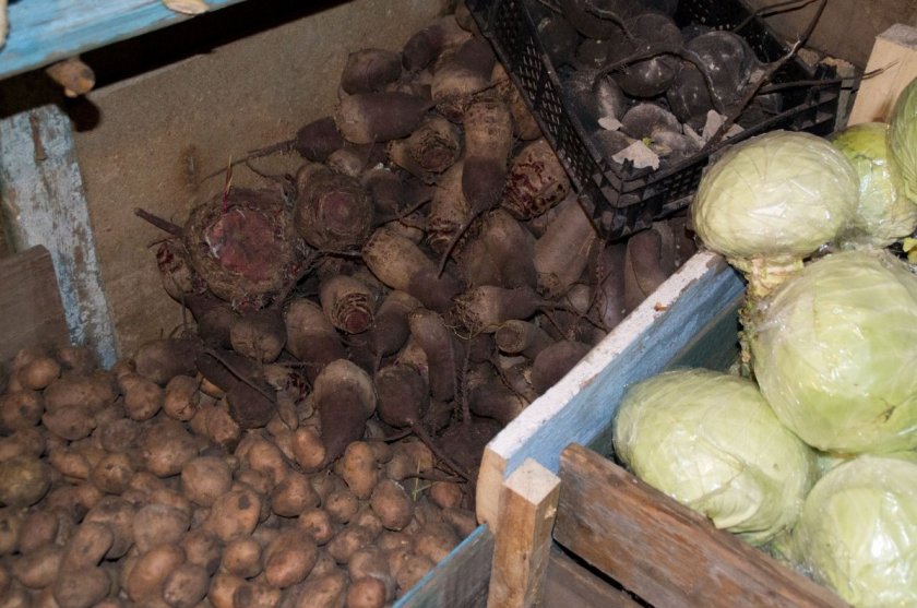 Закладка урожая на хранение