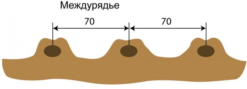 Посадка картофеля гребневым методом