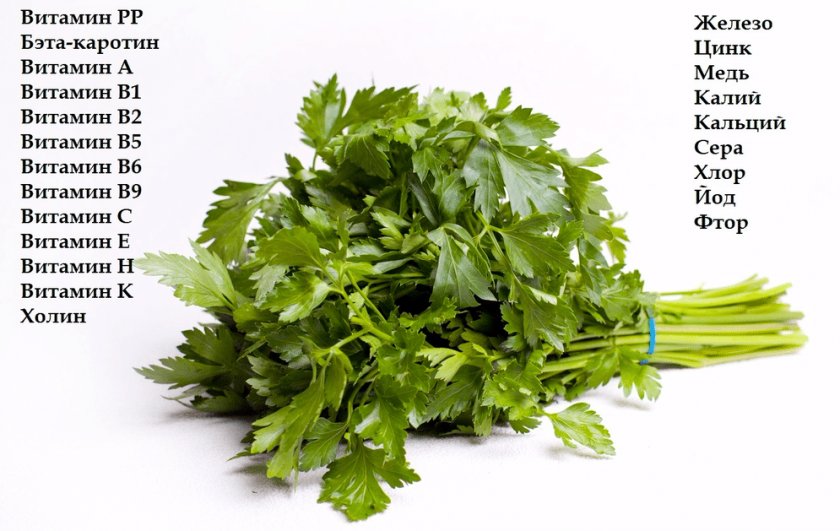 Химический состав петрушки