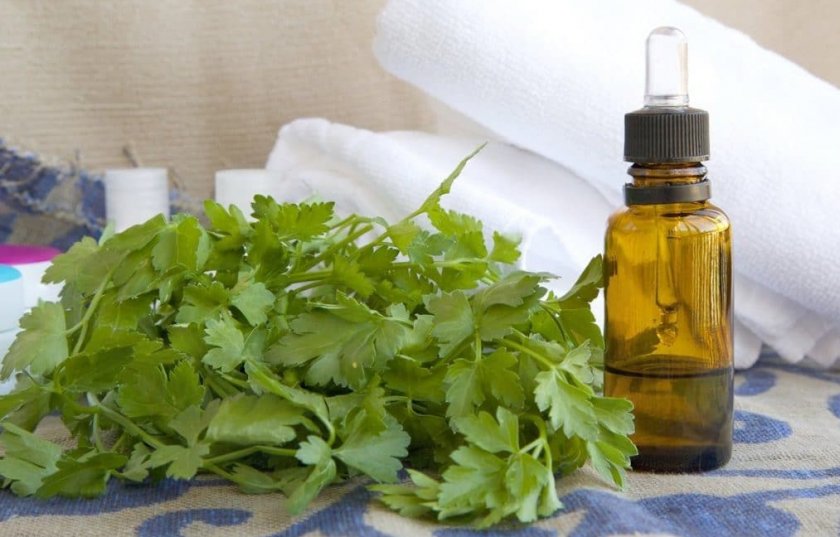 Масло петрушки