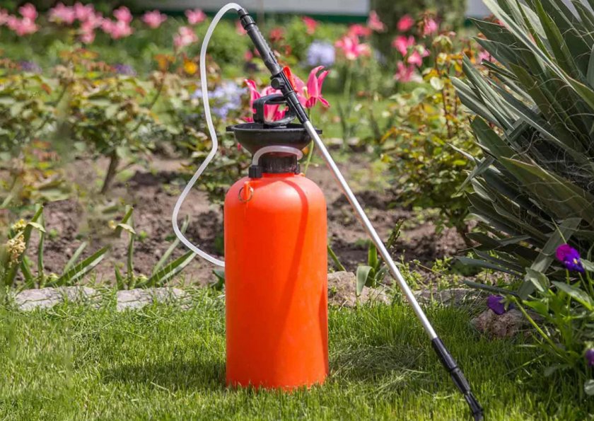 Садовый опрыскиватель