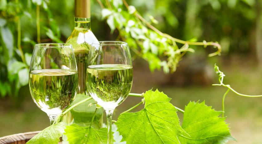 Шампанское из виноградных листьев