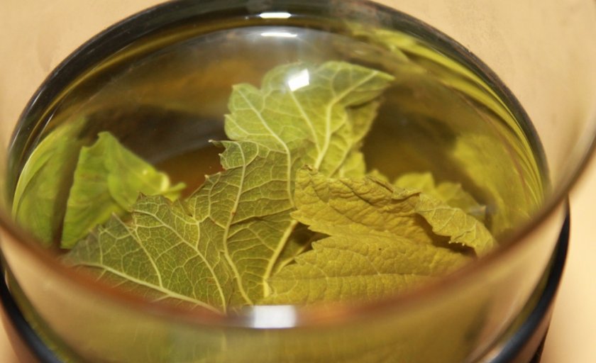 Виноградные листья