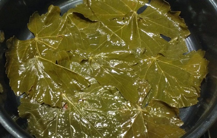 Виноградные листья