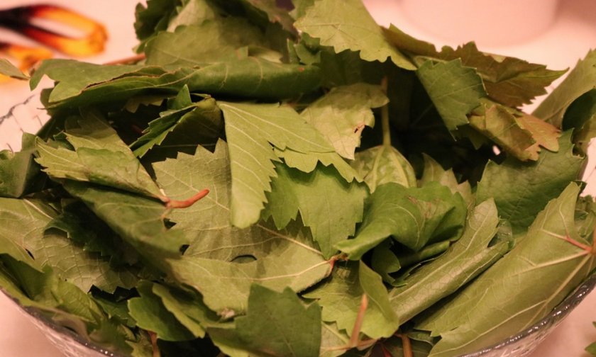 Виноградные листья