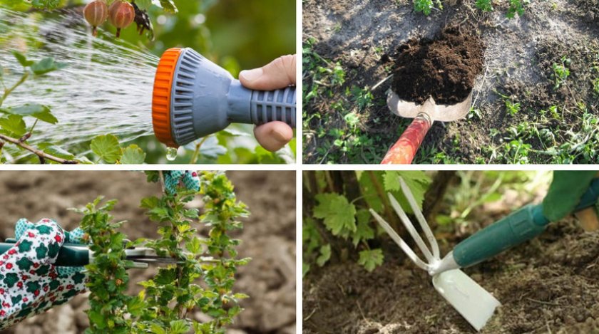 Подготовка к зиме