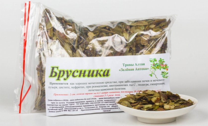 Брусничный мочегонный сбор