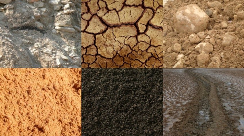 Типы почвы