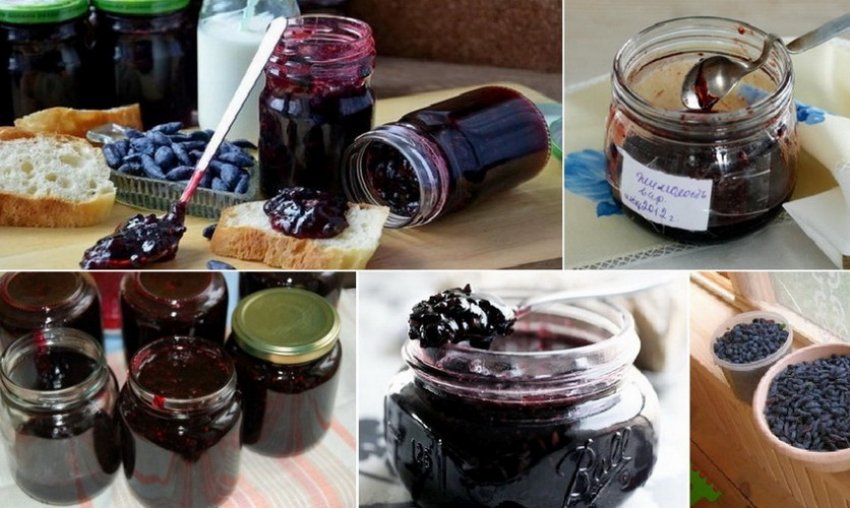 Заготовки из жимолости