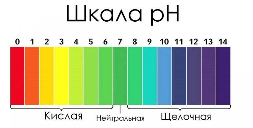 Шкала кислотности почвы