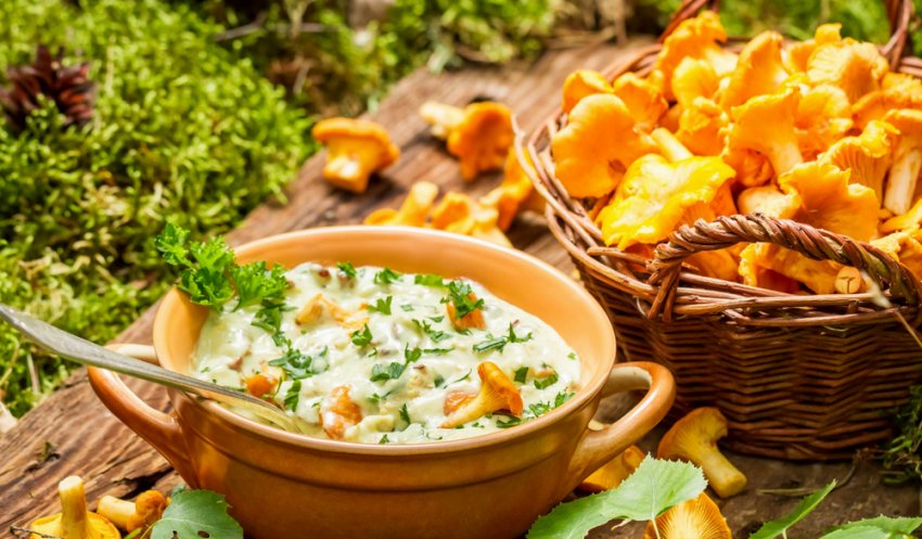 Соус с лисичками и сметаной