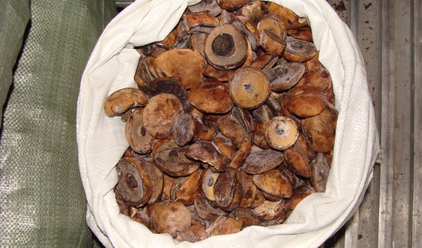 Замороженные грибы подосиновики