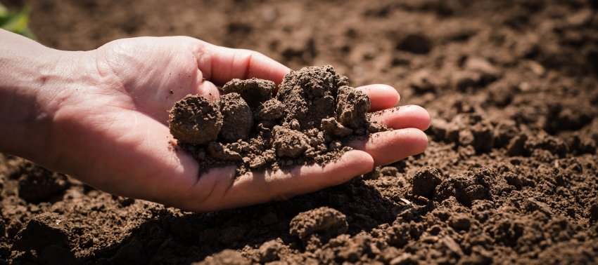 Кислотность почвы Кислотность почвы