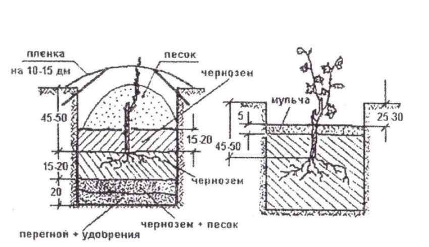 Схема подготовки ямы