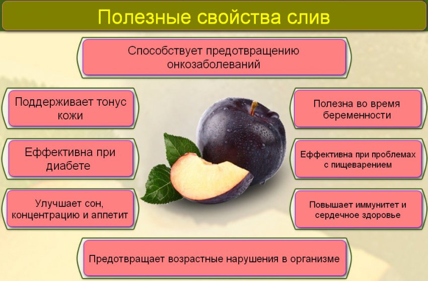 Полезные свойства слив Полезные свойства слив