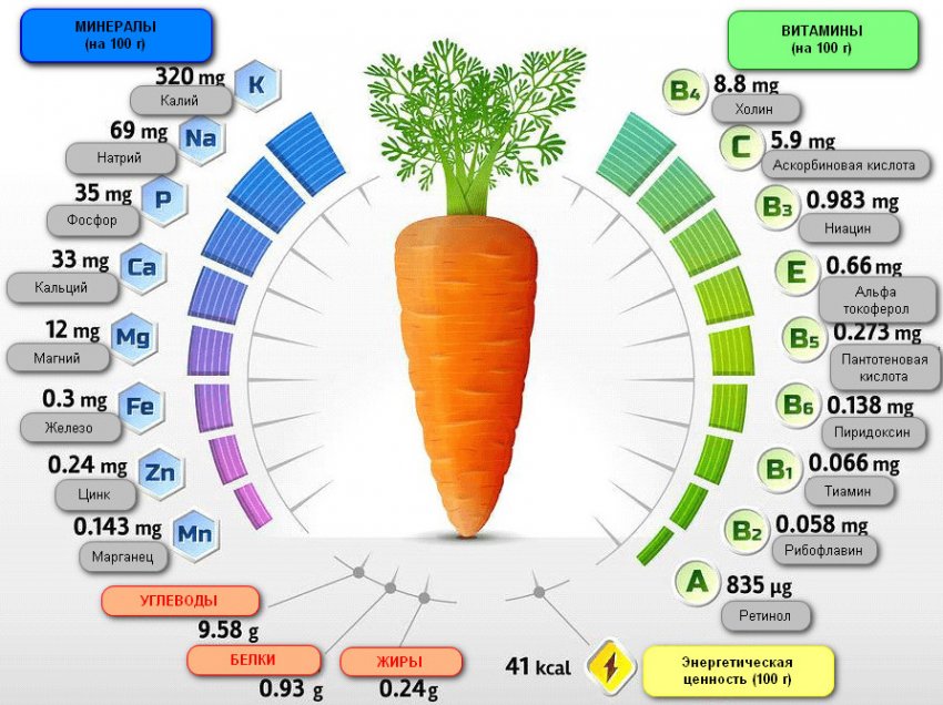 Витамино-минеральный состав моркови