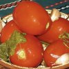 Холодне засолення бурих (і зелених) помідорів