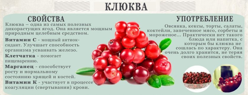 Свойства клюквы Свойства клюквы