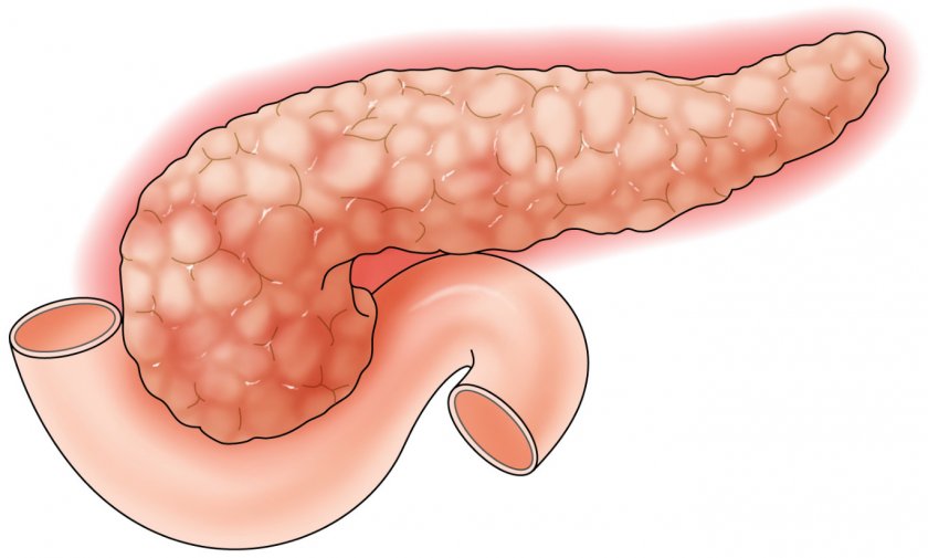 Клюква при панкреатите