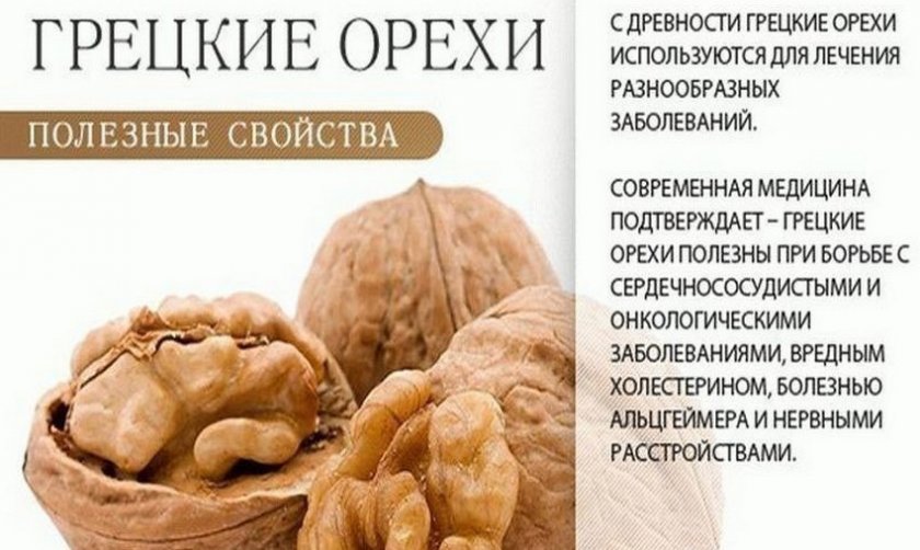 Полезные свойства грецких орехов