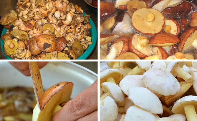 Подготовка грибов