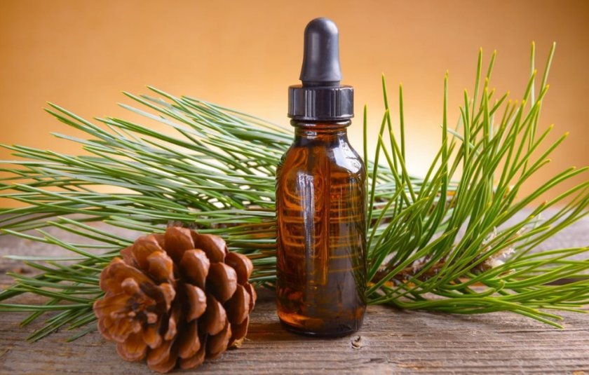 Эфирное масло сосны Эфирное масло сосны