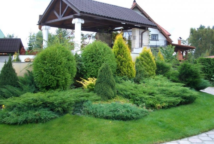Хвойная клумба Хвойная клумба
