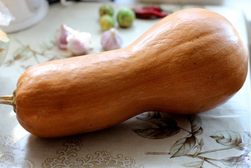 Испанская гитара