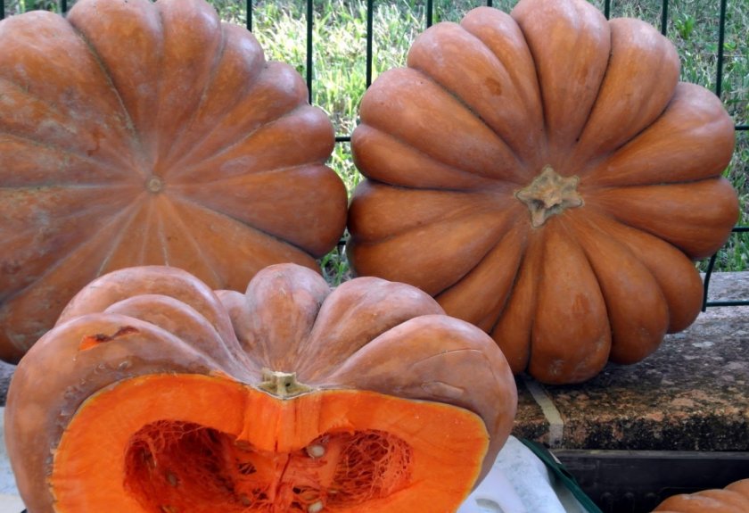 Мускат де Прованс