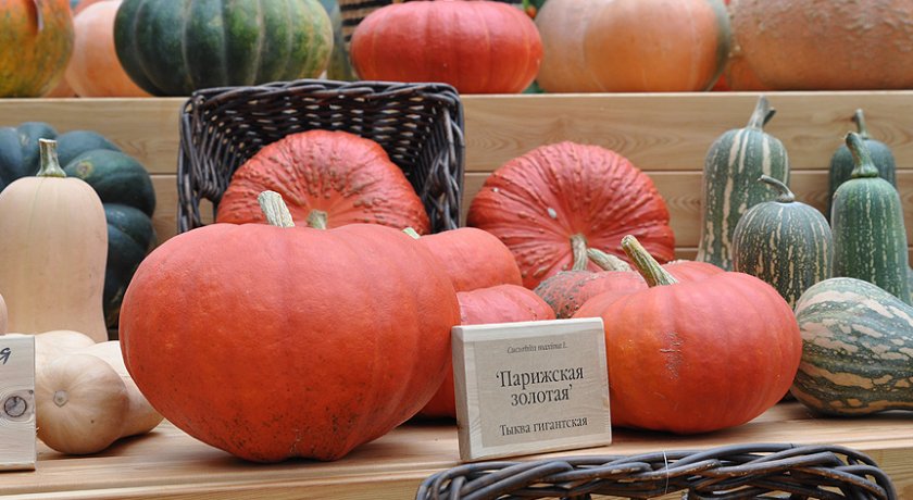 Парижская золотая