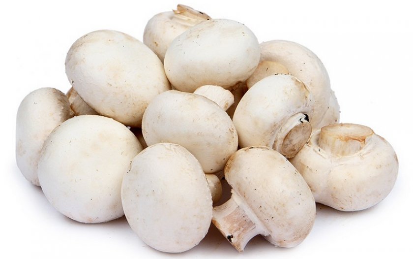 Шампиньоны