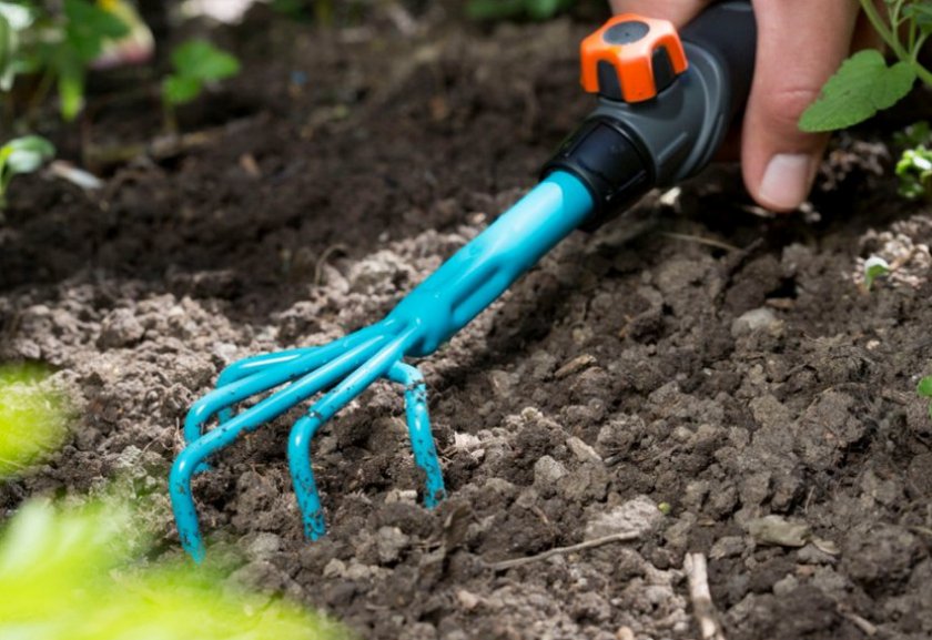 Рыхление почвы