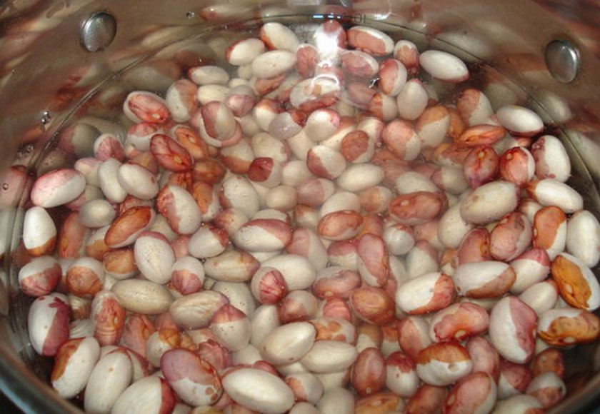 Замачивание семян Замачивание семян